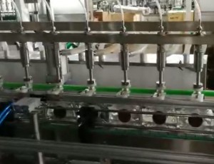 果酒全自動(dòng)直線式灌裝機(jī)