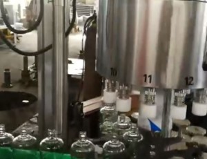 12頭高**全自動(dòng)灌裝機(jī)，塑料蓋自動(dòng)提升理蓋掛蓋機(jī)